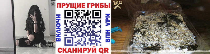 Псилоцибиновые грибы MAGIC MUSHROOMS  Короча 