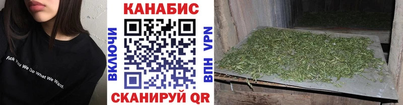 Шишки марихуана OG Kush  Короча 
